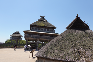 DSC07959_R