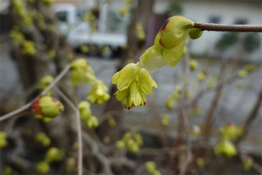 DSC05815_R