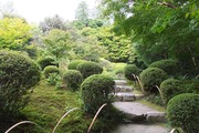 DSCF6631_R