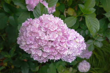 DSC08095_R