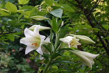 DSC08309_R