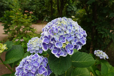 DSC08158_R