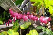 DSCF0679_R
