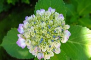 DSCF3822_R