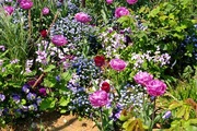 DSCF1026_R