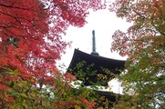 DSCF7544_R