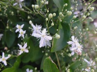 DSCF5893
