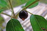 DSCF5025_R