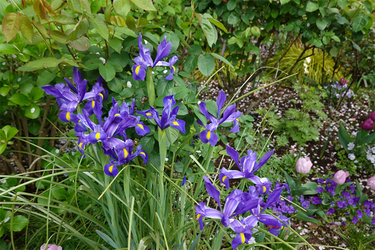 DSC06529_R