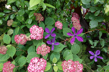 DSC08205_R