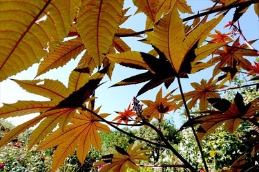 DSC02761_R