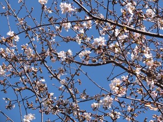 DSCF8269_R