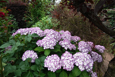 DSC08200_R
