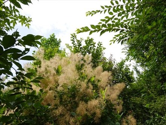 DSC01260_R