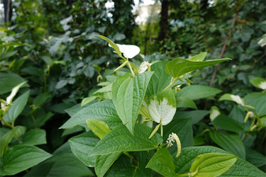 DSC08370_R
