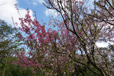 DSC06426_R