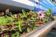 DSCF5830_R