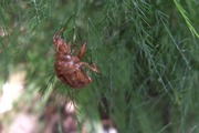 DSCF5150_R