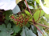 DSCF8154_R
