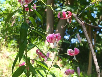 DSCF1459_R