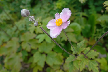 DSC09186_R