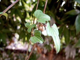 DSC01134_R