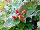 DSCF2476_R