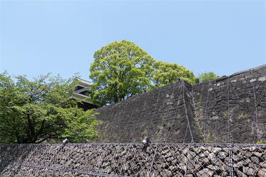 DSC07882_R