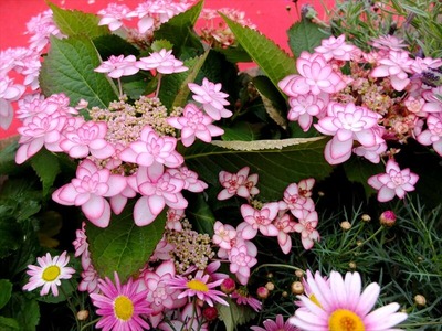 DSCF4997_R