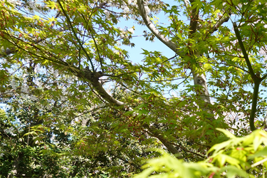 DSC06663_R