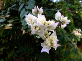 DSCF6507_R