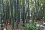 DSCF5357_R