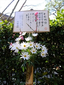 DSCF1085_R