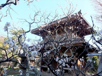 DSCF8464_R
