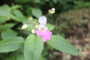 DSCF3025_R