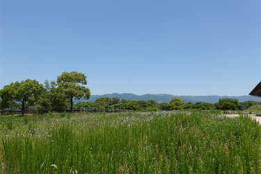 DSC07979_R