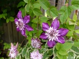 DSCF2120_R