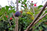 DSCF4933_R
