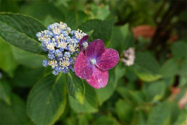 DSC03001_R