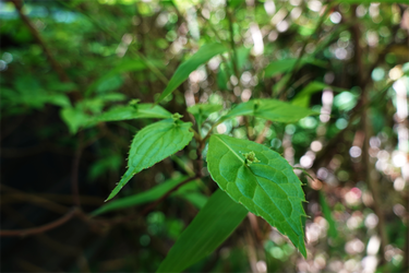DSC01313_R