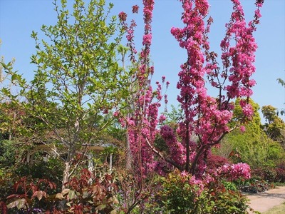 DSCF5517_R