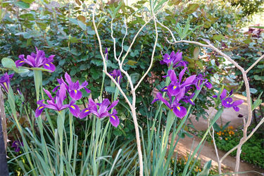 DSC06806_R