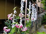 DSCF3489_R