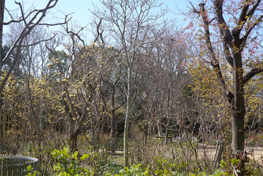 DSC05950_R