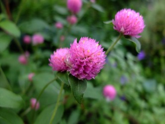 DSCF1697_R