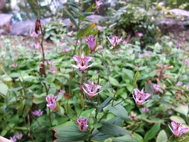 DSCF5859_R