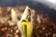 DSCF1462_R