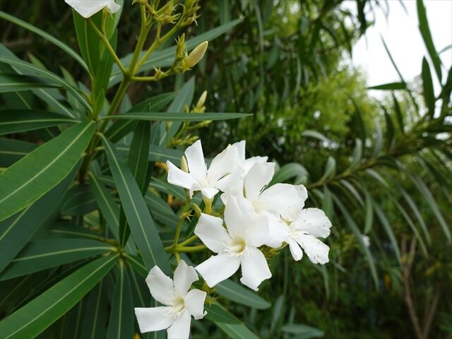 藍川京 の部屋 22年06月21日 Livedoor Blog ブログ