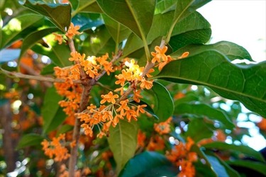 DSC02672_R
