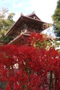 DSCF5925_R